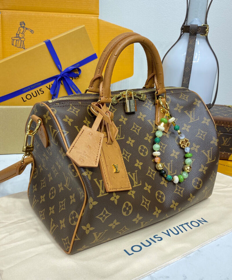 Louis Vuitton Speedy Soft 30 Boho N87212 Brown